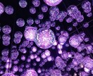 引っ越し、転職に関して、時期と方位を占います 九星方位気学とタロット、カバラ数秘術、掛け合わせで、占います イメージ3