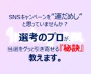 現役『中の人』が懸賞で損しない当選のコツ教えます Instagram版～ひとりひとりに合わせてサポート イメージ4