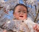 先着10名限定価格〜優しい写真を撮影いたします あっという間の成長の一コマを、自然な姿で残しませんか？ イメージ3