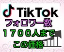 TikTokのフォロワー増やします 即日対応可！各種SNS対応！保証あり！お気軽にどうぞ！ イメージ1