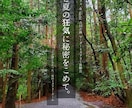 演劇やイベントのフライヤーを作成します A4片面でした早くて1日で納品可能です。(要相談) イメージ1