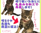 ２４個の手描きLINEスタンプをオーダー作成します お気に入りのお写真で、ラインスタンプをお作りします！ イメージ4