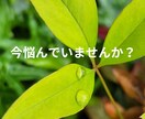 今話しましょ☆頑張ってるあなたの気持ちお聞きします 介護士が全力応援☆心の声に傾聴☘️愚痴☘️雑談☘️仕事☘️ イメージ2