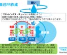 自己PR作成『半解凍』のセルフ用資料を提供します 職務経歴書の自己PR作成・面接の掘り下げ対策にもなります イメージ2