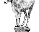 うちの子/ペットの似顔絵イラストをお描きしますます ペン画で植物などの簡単な装飾を追加してイラストを描きます。 イメージ2