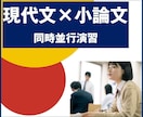 大学受験の現代文と小論文を同時並行演習、添削します 効率的演習で第一志望校のボーダーラインを確実に駆け抜けます イメージ1