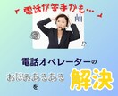 オペレーターさんの電話応対のスキルチェックをします ＝言葉遣いや分かりやすさ等、ご希望の項目でチェックします＝ イメージ2