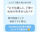 Facebook広告の改善アドバイスをします 経歴9年目のWebマーケターが運用診断、アドバイスをします イメージ1
