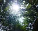 あなたのモヤモヤ、ムカムカ何でも聞きます みんなが気持ちよく生きられる、それが私の願いです イメージ1