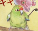 愛鳥さんを水彩絵の具で【ミニ色紙】に描きます 鳥さんの誕生日・記念日にちなんだお花を添えて水彩画を描きます イメージ4
