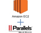 Amazon EC2とPLESKの設定代行をします Amazon EC2設定とPLESKを使いサーバー運用も楽々 イメージ1