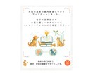 テキスト相談|愛猫のごはん食べない問題を解決します 元ペットショップ店員×ペットフーディストが個別アドバイス！ イメージ3