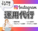 Instagram運用代行を1ヶ月おこないます 現役インスタグラマーが運用代行を画像作成から行います！ イメージ1