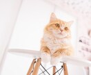 愚痴聞きます あなたの心の叫び聞かせてください イメージ1