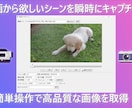 動画を画像に変換！シーンやフレームごとに分割します 動画から欲しいシーンを瞬時にキャプチャ！ イメージ1
