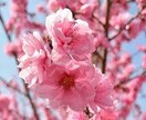 月10件鑑定しているOLがタロットにて鑑定します 〜恋愛・結婚・仕事・お金〜将来の不安に光を明るい陽射しを！ イメージ8