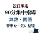 元小学校教諭が算数国語を祝日に90分集中指導します 祝日を使って苦手を一気に整理します イメージ1