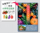 農業×福祉系【チラシ】デザインします イメージを覆す！伝統を大切にしながら、もっとクリエイティブに イメージ3