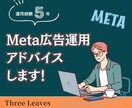 Meta広告の効果改善提案をいたします アカウントなど各種分析をし、改善提案します イメージ1