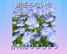 あなた、頑張り過ぎ屋さんになってます 頑張りのプロではなく、頑張り過ぎない自分になりましょうね。 イメージ4