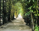 産業カウンセラー資格勉強中。23歳OLお話聞きます あなたの今を聞きたいです！なーんでもどうぞぉおあ！ イメージ3