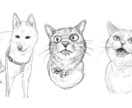 デッサンイラストの作成します お子さんの記念日プレゼントなどに！ イメージ5
