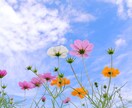 職場の人間関係が嫌で限界！✨愚痴全部聞きます ✨ハラスメント我慢しないでナースの私になんでも打ち明けて♡ イメージ3