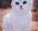 40代男性、子育て・仕事・人間関係の愚痴聞きます 40代男性が、あなたの気持ちに寄り添います イメージ1