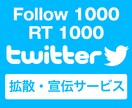 女性twitterフォロワー＆RT1000にします twitterプロモーションの施策をお教えします！ イメージ1