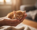 もうダメだをこれからだに変えます 人生の波を乗り越えた私が、あなたの「もうダメだ…」を変える イメージ7