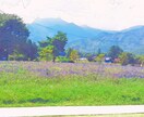 24時間＊親身に恋愛・婚活のお悩み、愚痴を伺います 知人には言えないけど、誰かに話したい！電話が苦手なそんな方へ イメージ2