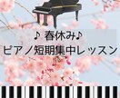 クラシック音楽関係者向け♪SNS用画像作成します ピアノの先生がCanvaを使ってすてきな画像を作ります！ イメージ2