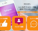 インスタいいねやフォロー活動いたします 【期間限定価格】お試しプラン登場！まずは試してみたい方に！ イメージ1