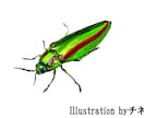 ヘッダー描きます 参考画像のような簡単なヘッダーを描きます イメージ6