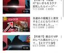 現役10万人YouTuberがコンサルします 依頼主様に合わせたコンサルを提案します イメージ5
