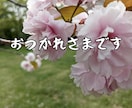 桜の写真LINEスタンプ作ります 文字変更OKやさしい桜スタンプ イメージ2