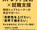 ストレッチ技術＋就職アドバイスをします ストレッチ技術力提供と就職支援 イメージ1
