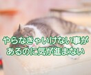 スナック嬢があなたの元気を最大にアゲます くだらない話し等会話を楽しみながら、自然と元気になれちゃう！ イメージ5