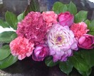 迷っちゃう！？プレゼントで渡す花のお悩み相談受け付けます イメージ1