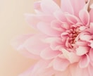 あなただけに集中♡30分チャットします 電話が苦手でも大丈夫♡LINE感覚で気軽に雑談しませんか？ イメージ10