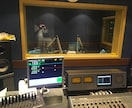 Podcast番組用の台本を作成します 何を話せばいいかわからない方のアシストをします！ イメージ1