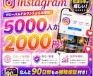 Instagramの外国人フォロワー増やします 5000人増加。低減少率！90日間補填保証付き！ イメージ1
