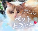 ジャンルを問わず遠隔でペットセラピーします あなたのペットの目の輝きにご注目ください。 イメージ1