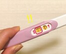 妊活不妊の悩み：授かるためのアドバイスをします 不妊のプロ胚培養士経験のあるカウンセラーによるオーダーメイド イメージ7