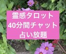 40分間占い放題のチャット鑑定をします 時間を決めて40分間占い放題です。 イメージ1