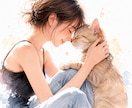 ペットロス・悲しみの中にいる方に寄り添います 愛猫を看取った私が寄り添う、お空の上の家族と心を繋ぐ電話相談 イメージ3