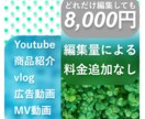 コストで妥協しない動画編集やります 編集工程の量による料金変動無し!一律8,000円! イメージ1