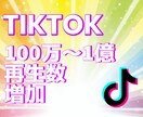 TikTok再生数100万〜増やします TikTok再生数増加！宣伝・拡散！ イメージ7