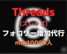Threadsのフォロワー300人増加させます 今話題のThreads(スレッズ)/フォロワー300人増加/ イメージ1