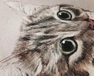 可愛いペット似顔絵描きます 猫ちゃんの思い出の1枚を残しませんか イメージ3